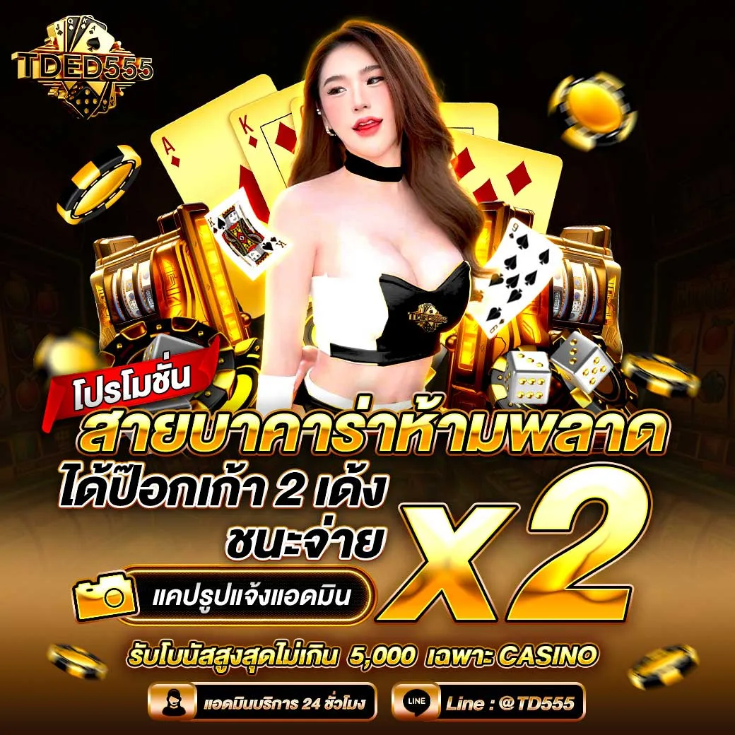 tded555 โปรโมชั่น